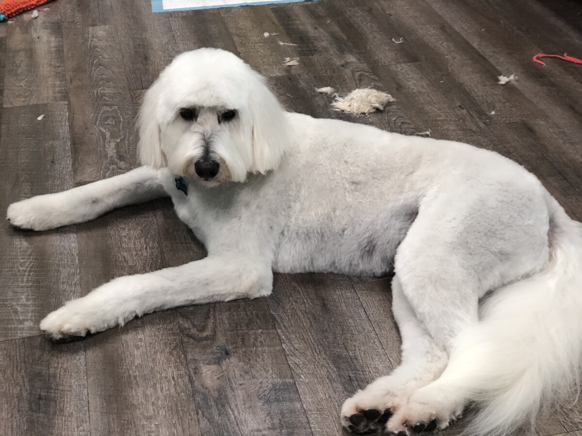 Images Beauty Pawlor