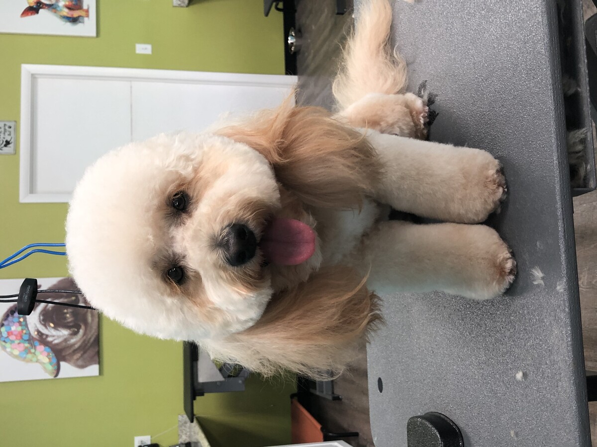 Images Beauty Pawlor