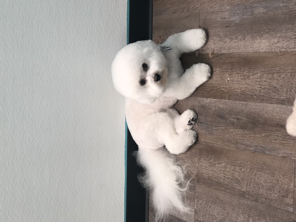 Images Beauty Pawlor