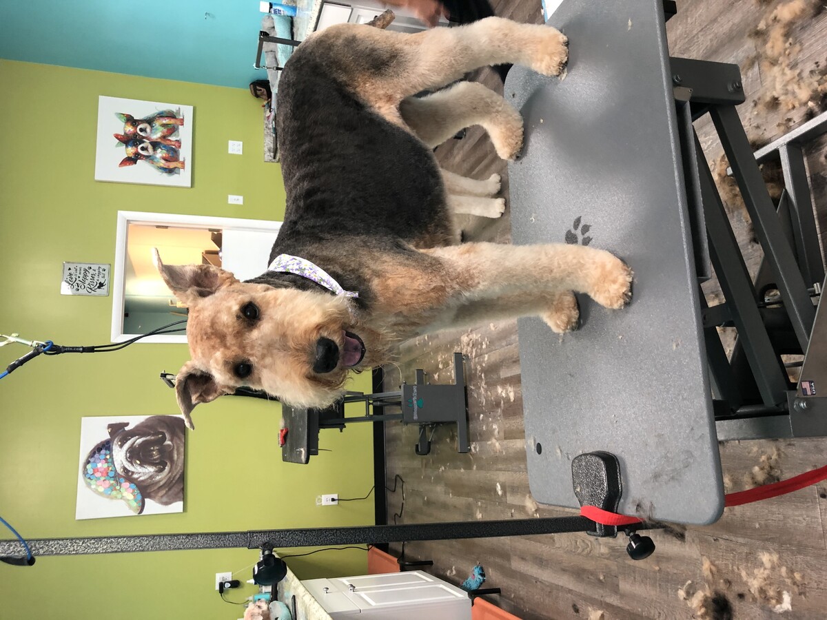 Images Beauty Pawlor
