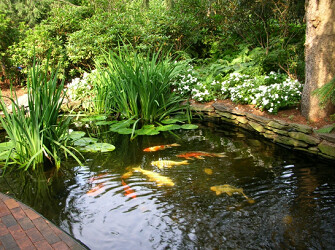 Images Urban Farms Landscape & Design
