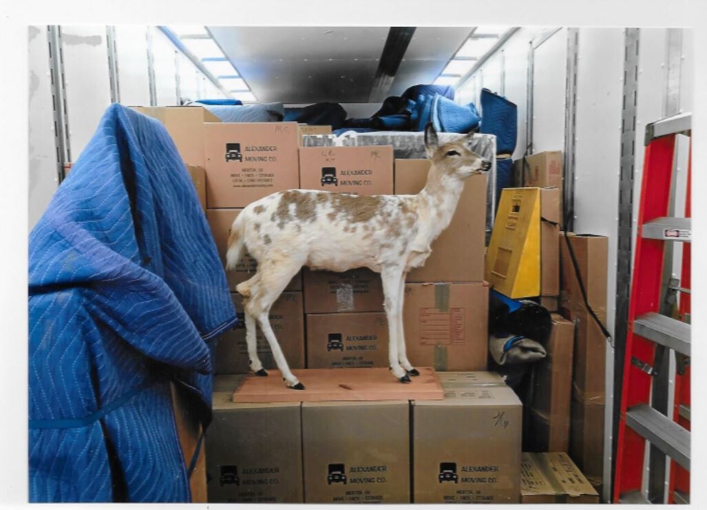 Images Alexander Moving Company