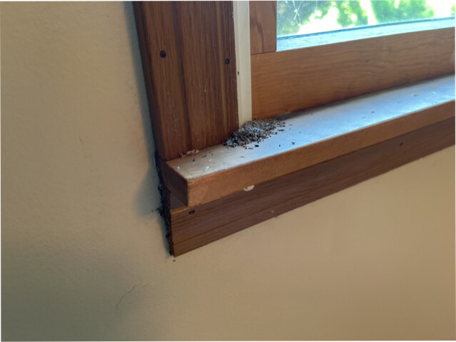 Images Harvest Inspections