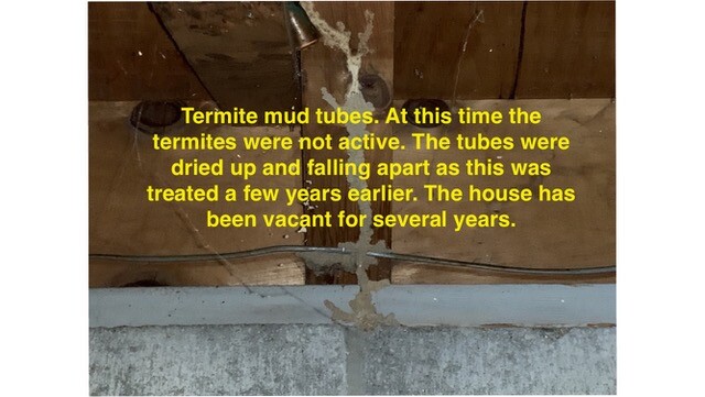 Images Harvest Inspections