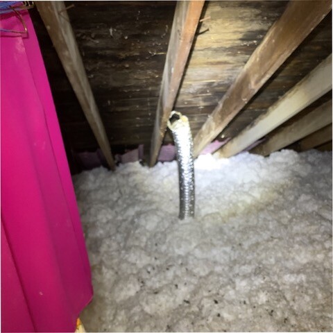 Images Harvest Inspections