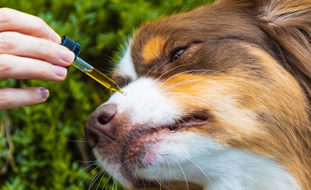 Images Arizona CBD Co.