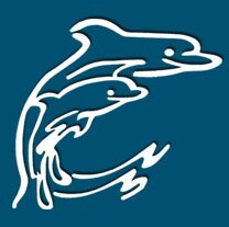 Images Dolphin Title of Brandon Inc