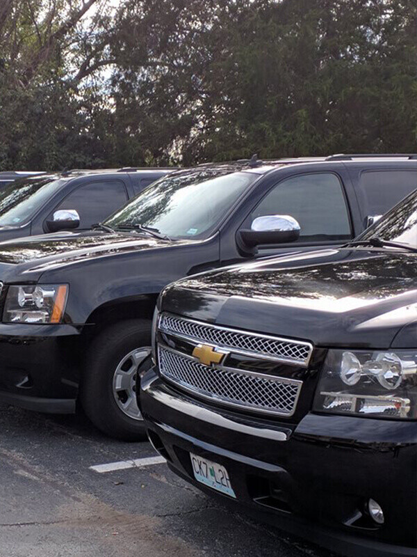 Images STL Elite.net