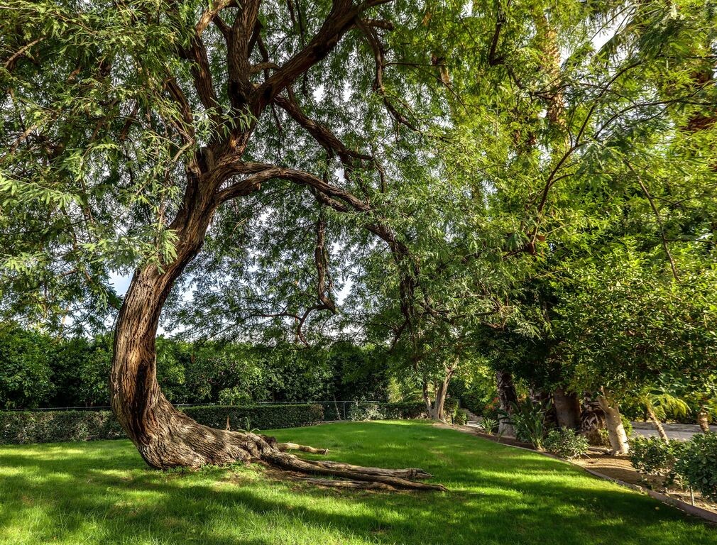Images Sean Dye Real Estate - Keller Williams Beverly Hills