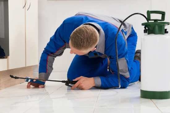 Images Elite Pests Control LLC