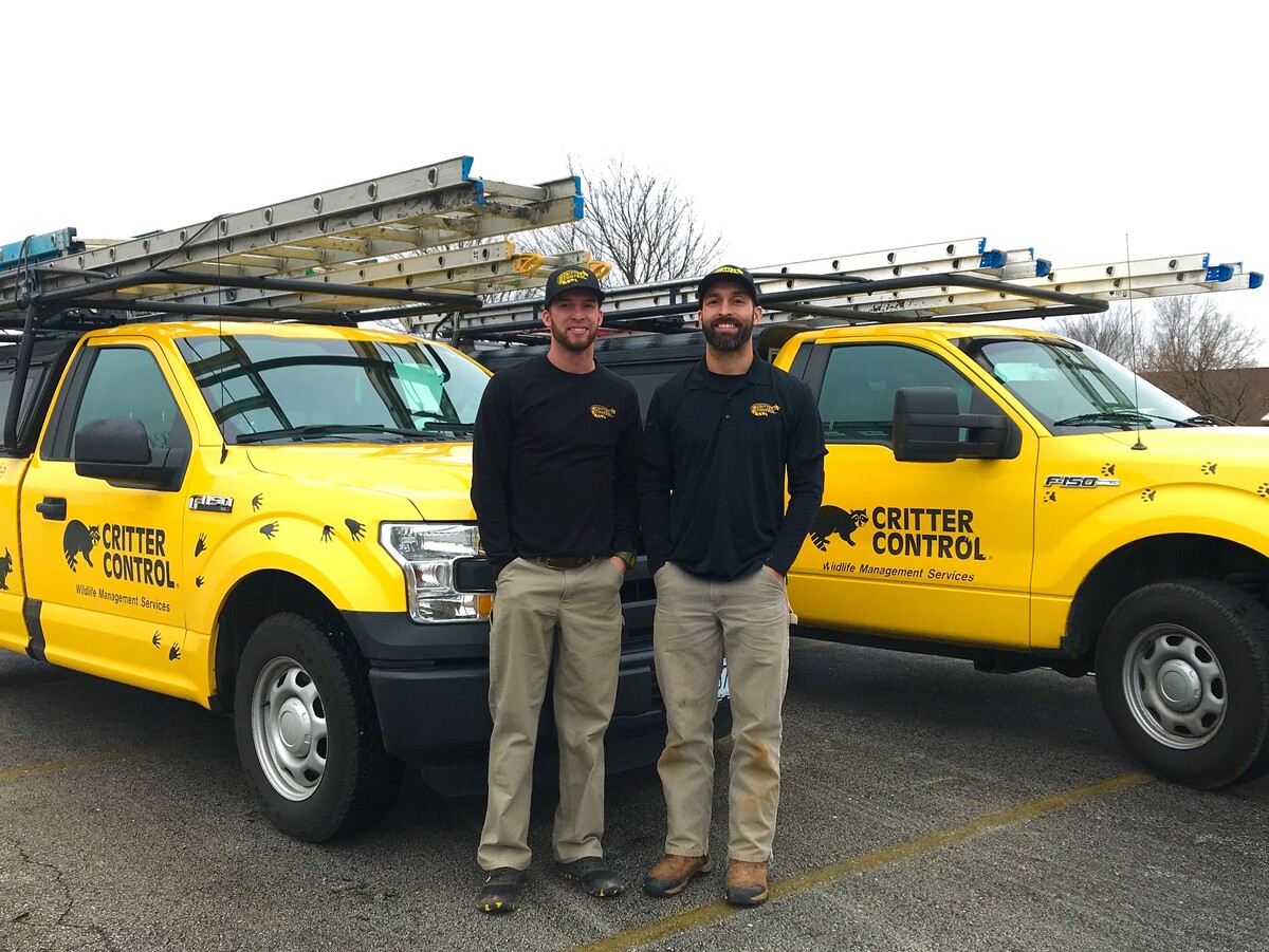 Images Critter Control of KCMO.