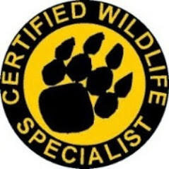 Images Critter Control of KCMO.