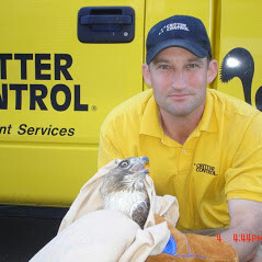 Images Critter Control of KCMO.