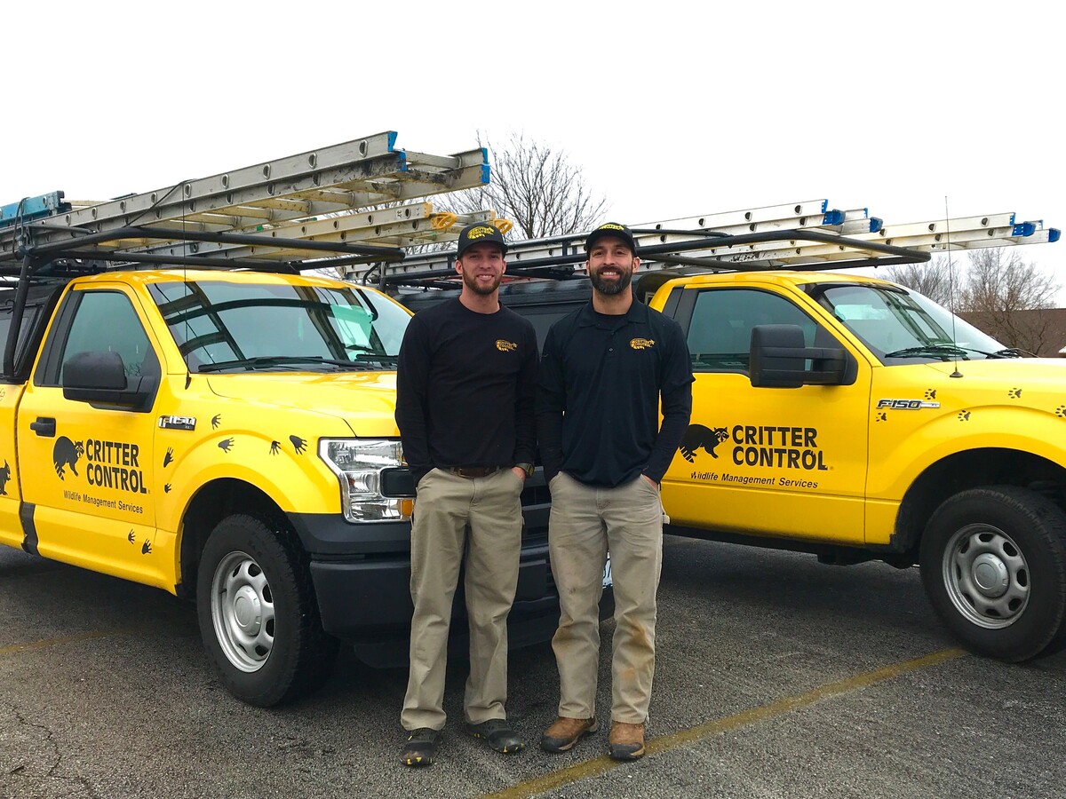 Images Critter Control of KCMO.
