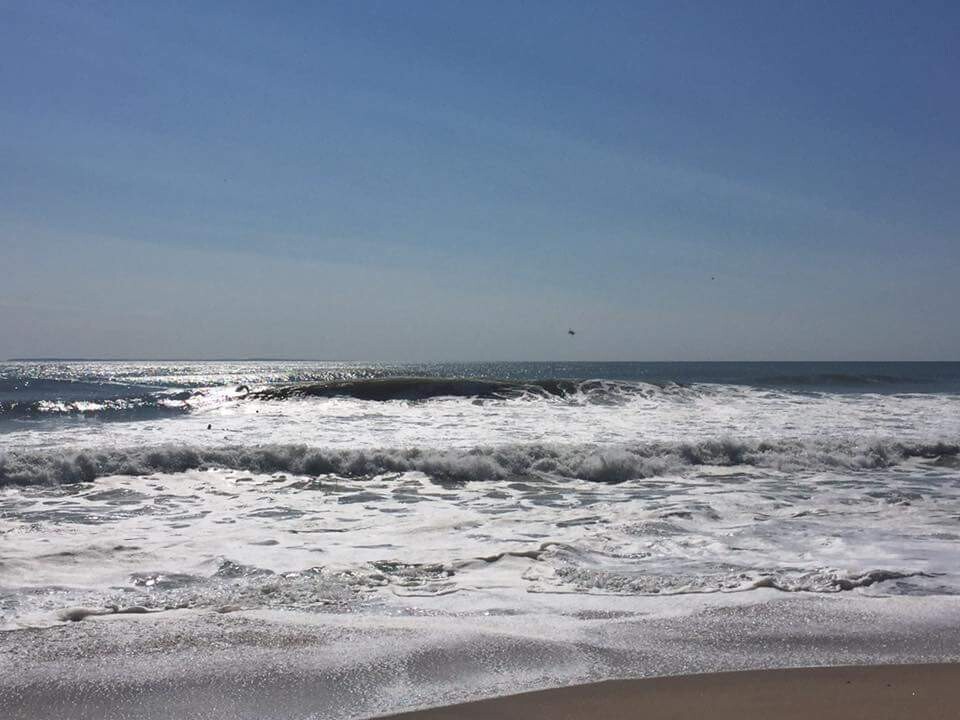 Images Dave Antonelli - My RI Agent at Slocum Realty