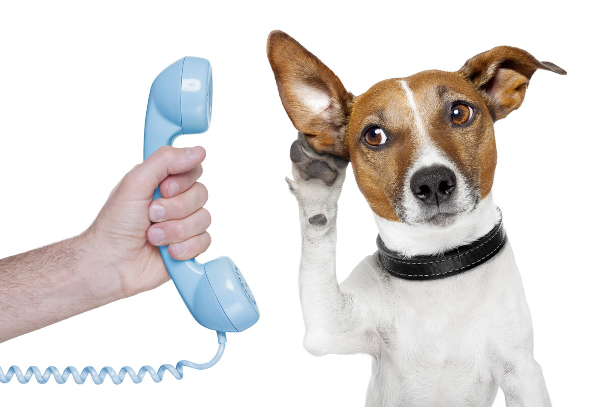 Images On Hold Marketing