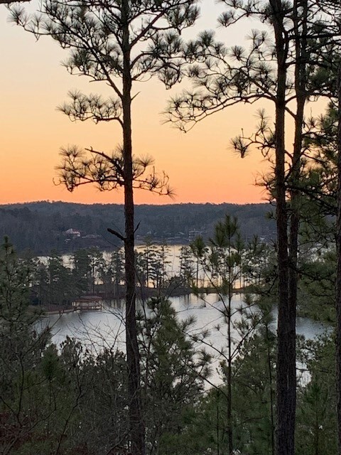 Images Peak Real Estate