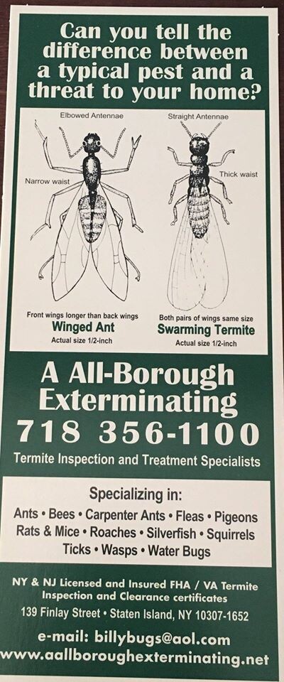 Images A ALL BOROUGH EXTERMINATING