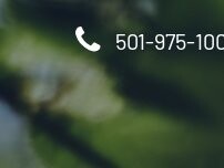 Website Screenshot Arkansas Cremation