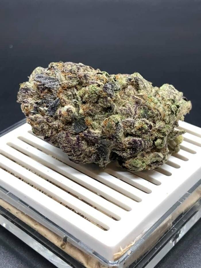 Images Nature's Gift Medical