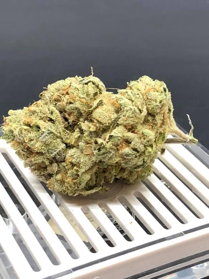 Images Nature's Gift Medical