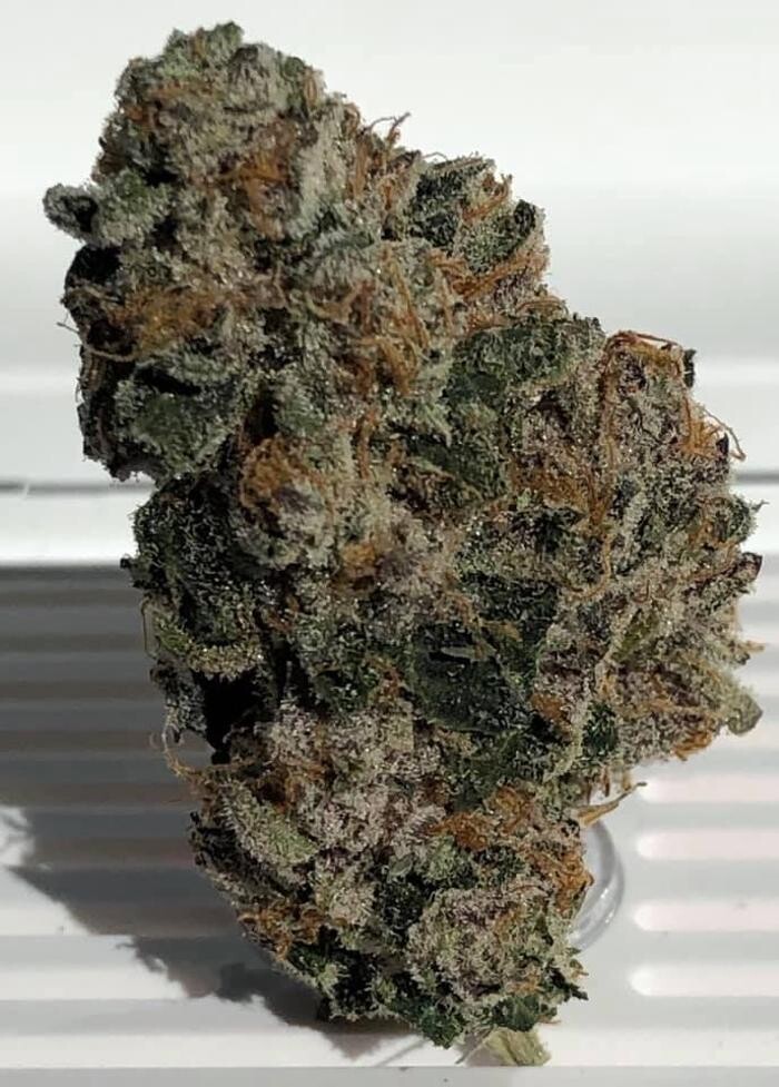 Images Nature's Gift Medical