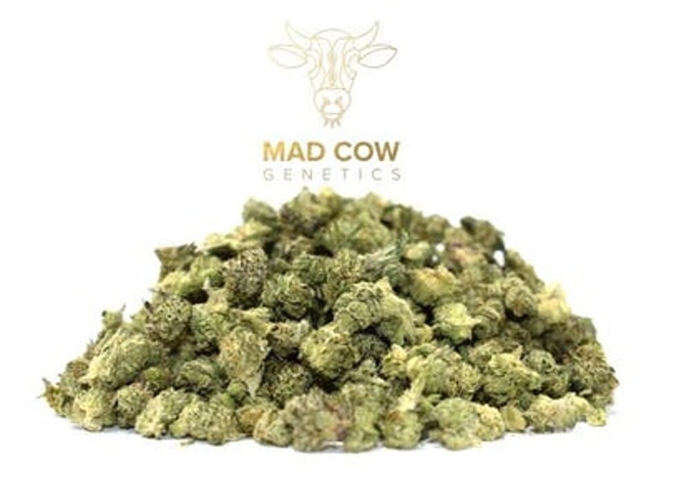 Images East of Eden Cannabis Co. - Moss Landing