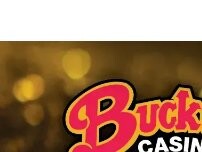 Website Screenshot Bucky's Casino