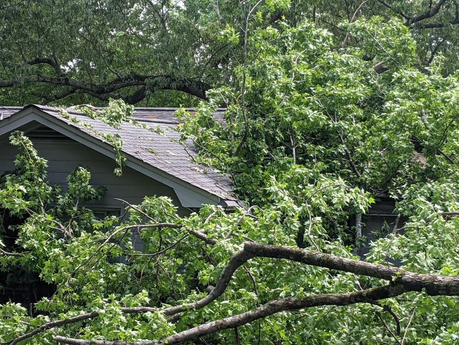 Images Castle Roofing Atlanta, GA