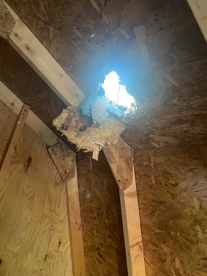 Images Castle Roofing Atlanta, GA