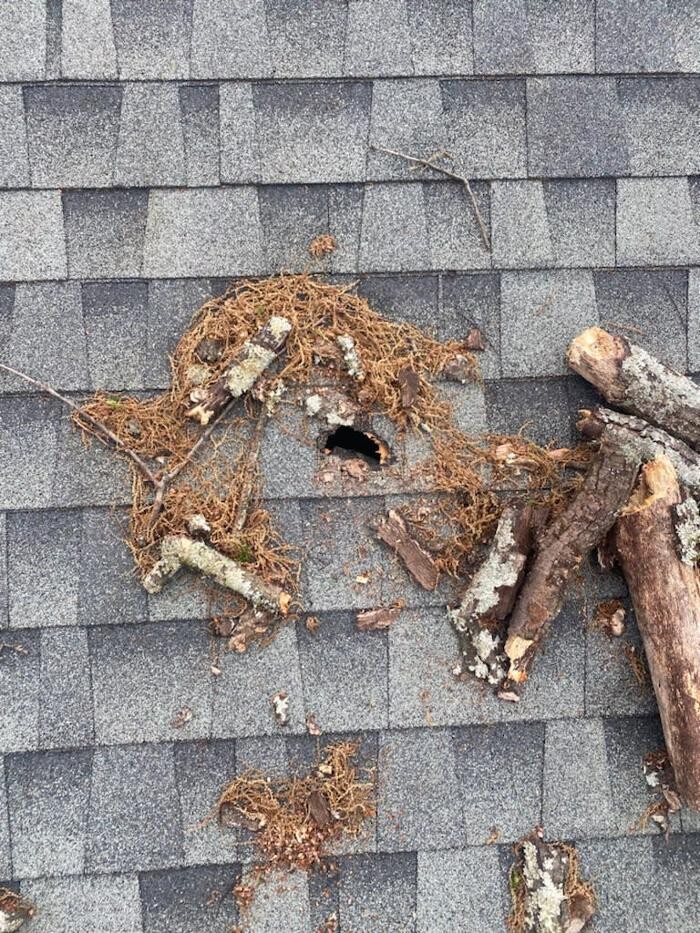 Images Castle Roofing Atlanta, GA