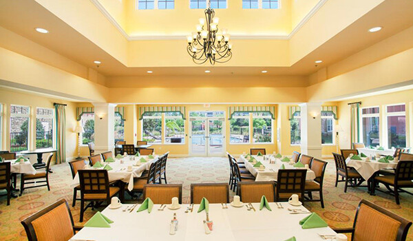 Images Camellia At Deerwood