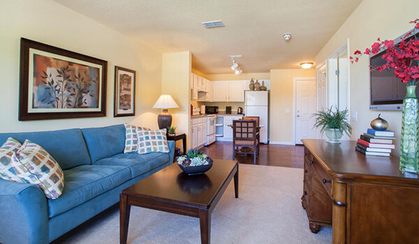 Images Camellia At Deerwood