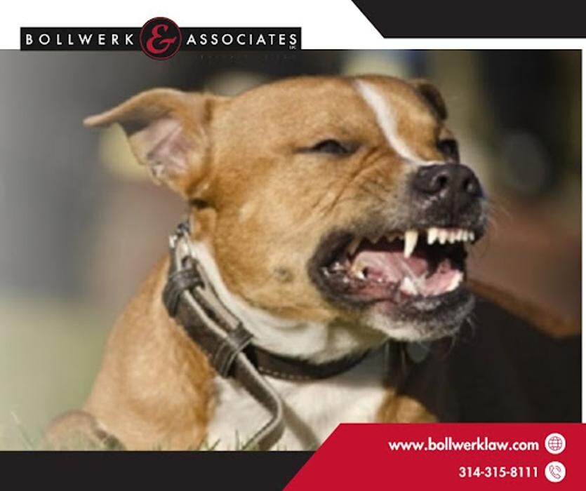 Images Bollwerk & Associates, LLC