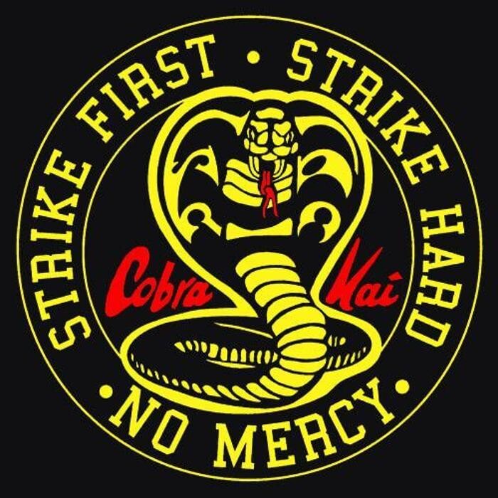 Images Cobra Kai Martial Arts
