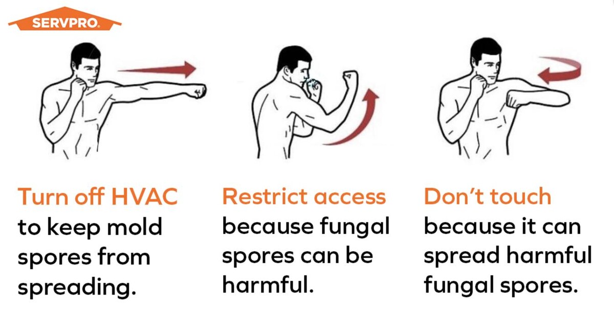 Images SERVPRO of Highland Village