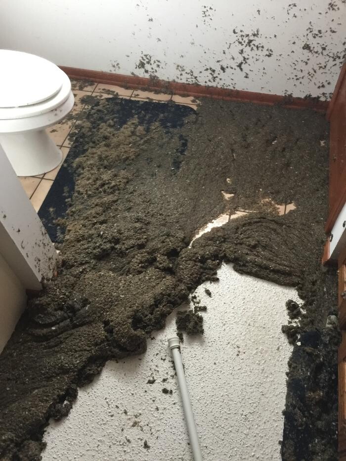 Images SERVPRO of Franklin County