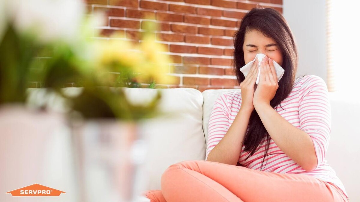 Images SERVPRO of Franklin County