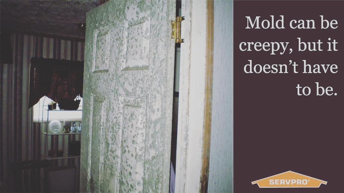 Images SERVPRO of Franklin County