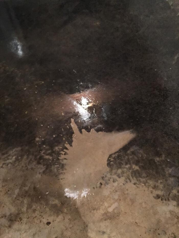 Images SERVPRO of Franklin County