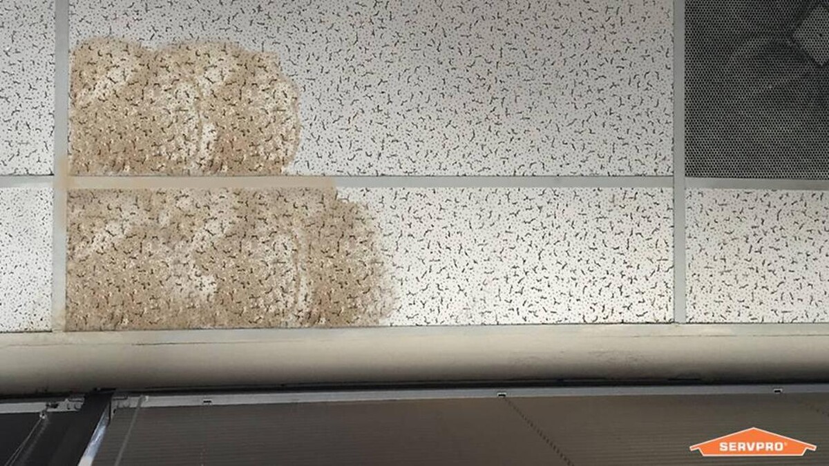 Images SERVPRO of Franklin County