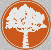 Sonterra Dental Logo