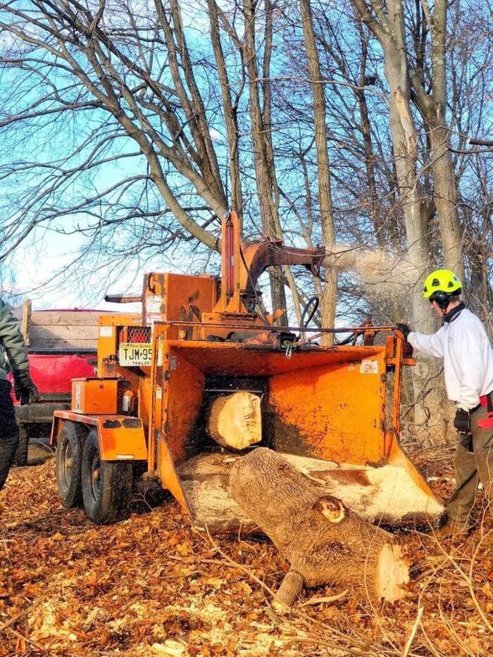 Images High Performance Tree Service