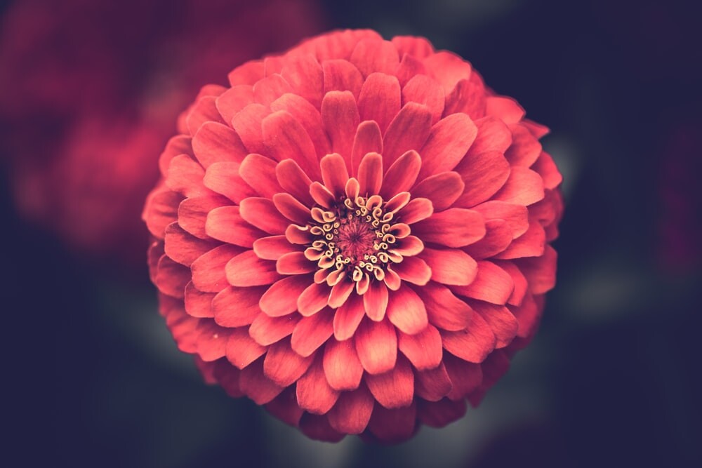 Images Hello