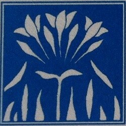 Willow Glen Dental Care Logo
