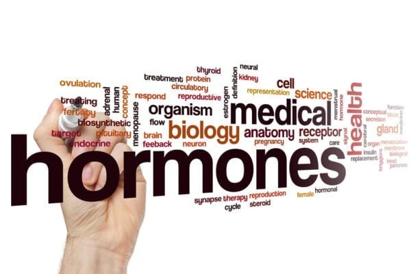 Images Hormone Health and Weight Loss of Williamsburg, Virginia