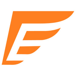 Endurance Warranty Services Logo