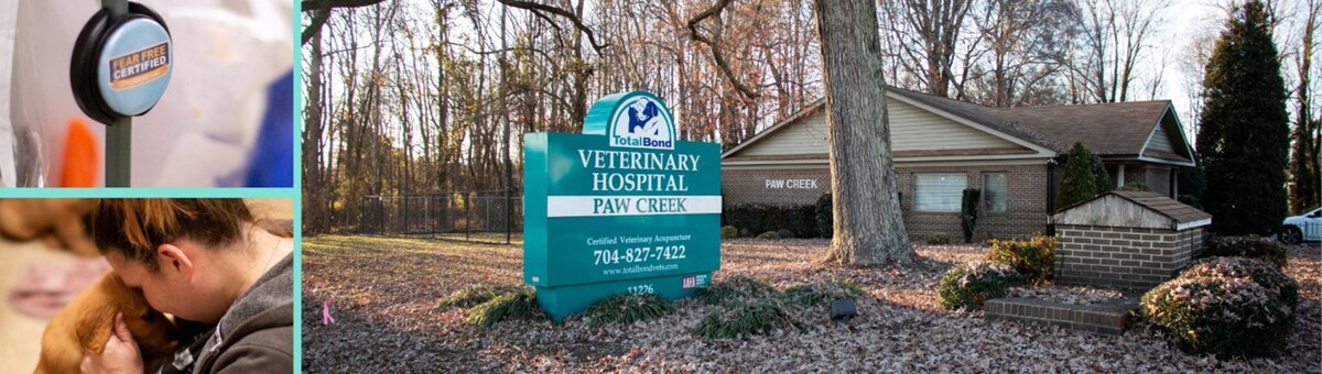 Images TotalBond Veterinary Hospital at Paw Creek