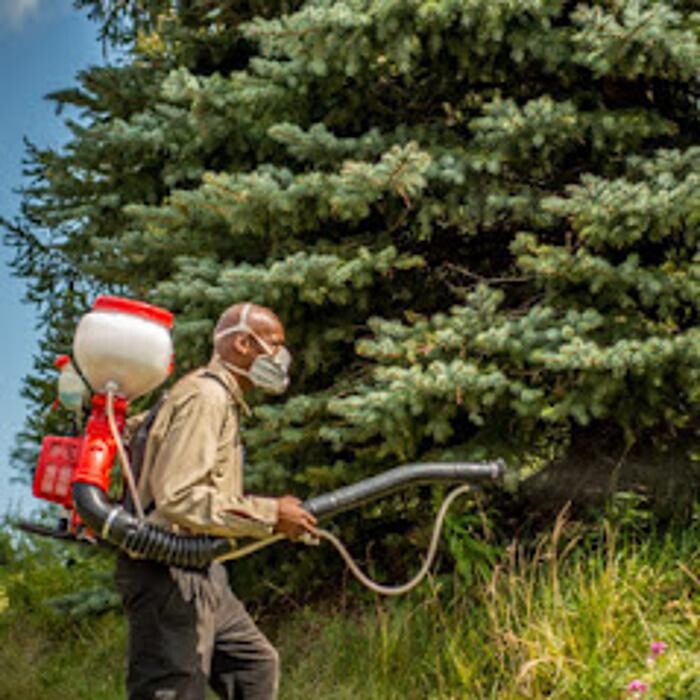 Images Innovative Pest Management, Corp.