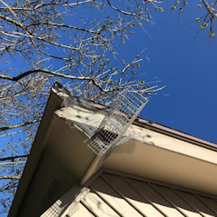Images Innovative Pest Management, Corp.